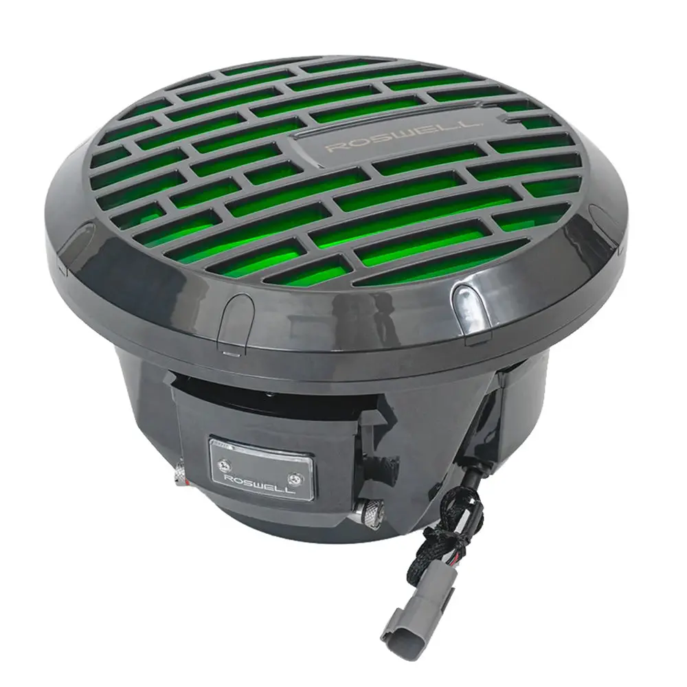 Roswell Rma 10" Subwoofer - Black - 250W Rms  500W Peak Power [C920-1801] 1