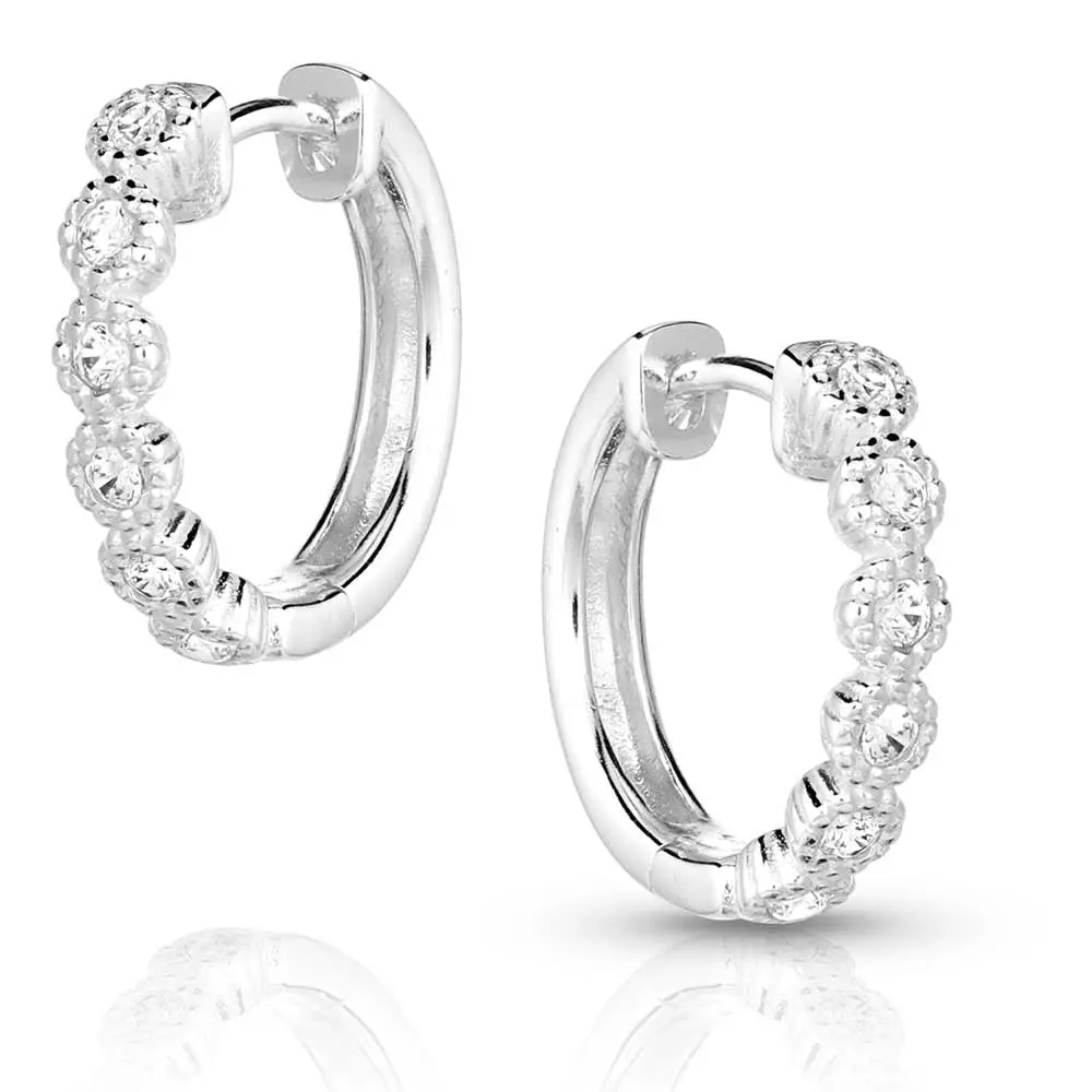 Montana Silversmith Western Wonderland Crystal Hoop Earrings 1