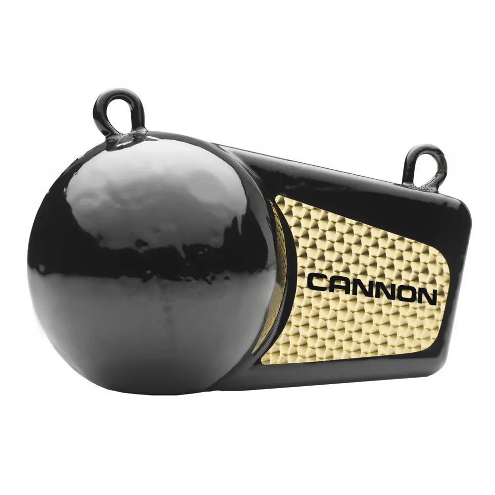 Cannon 6Lb Flash Weight [2295180] 1