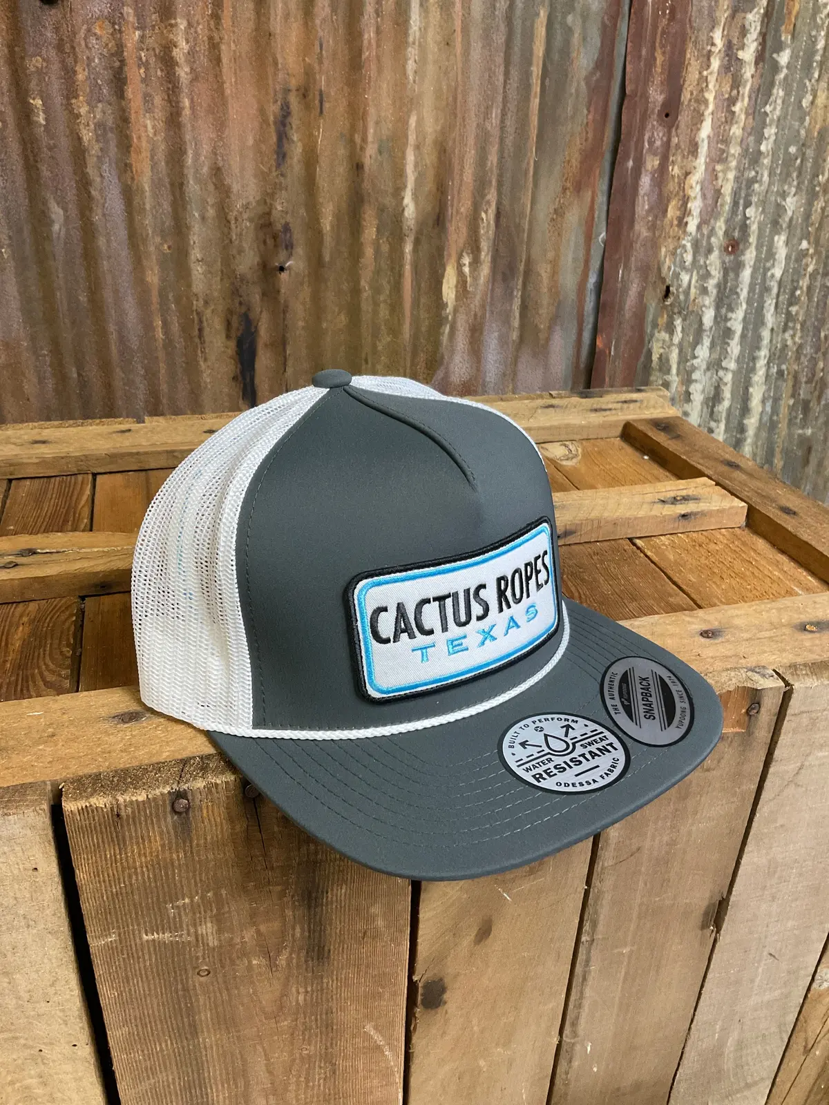 Hooey "Cactus Ropes" Grey Ballcap 1