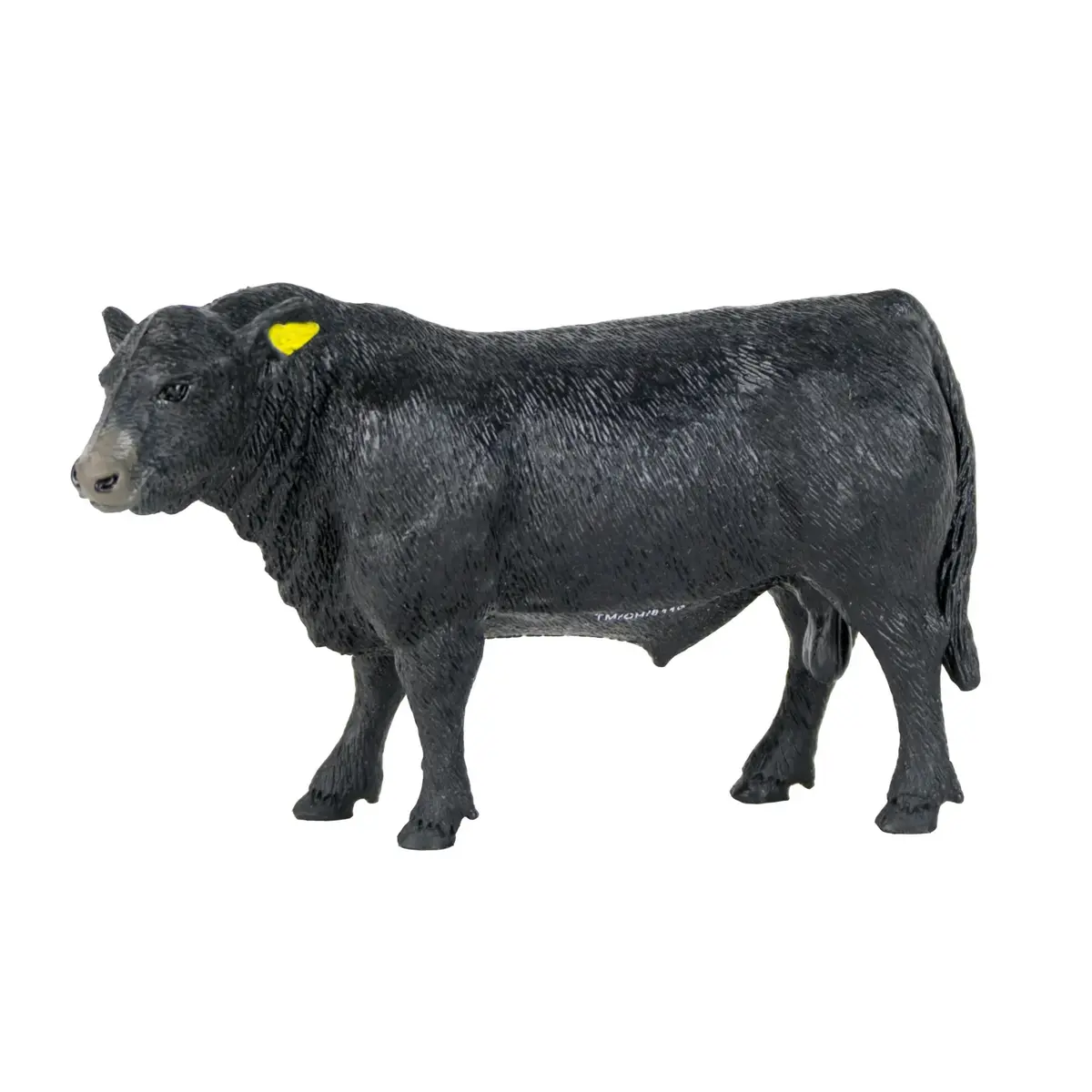 Big Country Angus Bull 1