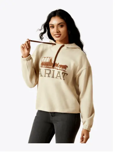 Ariat Essential Hoodie In Oyster Grey 1