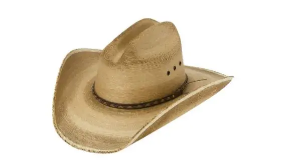 Resistol Jason Aldean Georgia Boy Palm Cowboy Hat 1