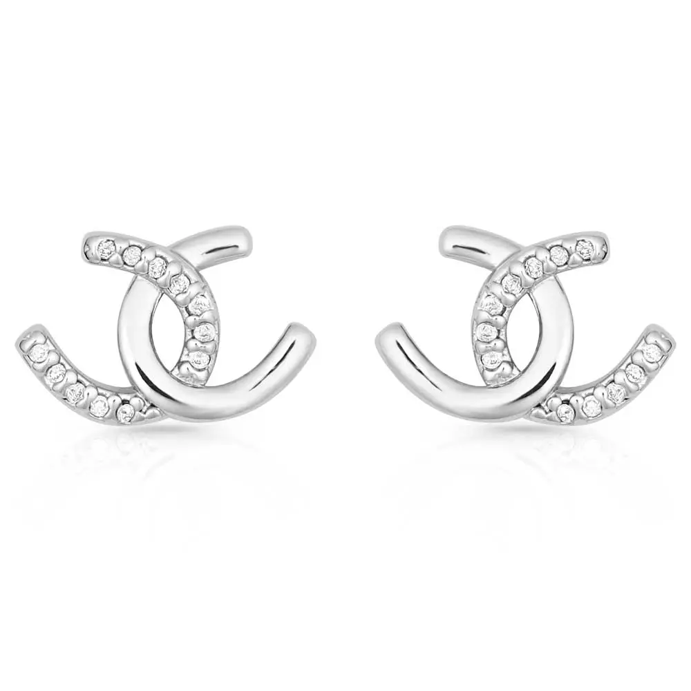 Horseshoe Happiness Post Earrings 1