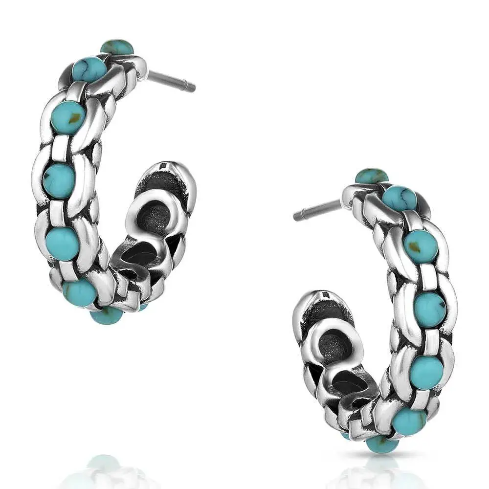Montana Silversmith Center Of It All Earrings 1
