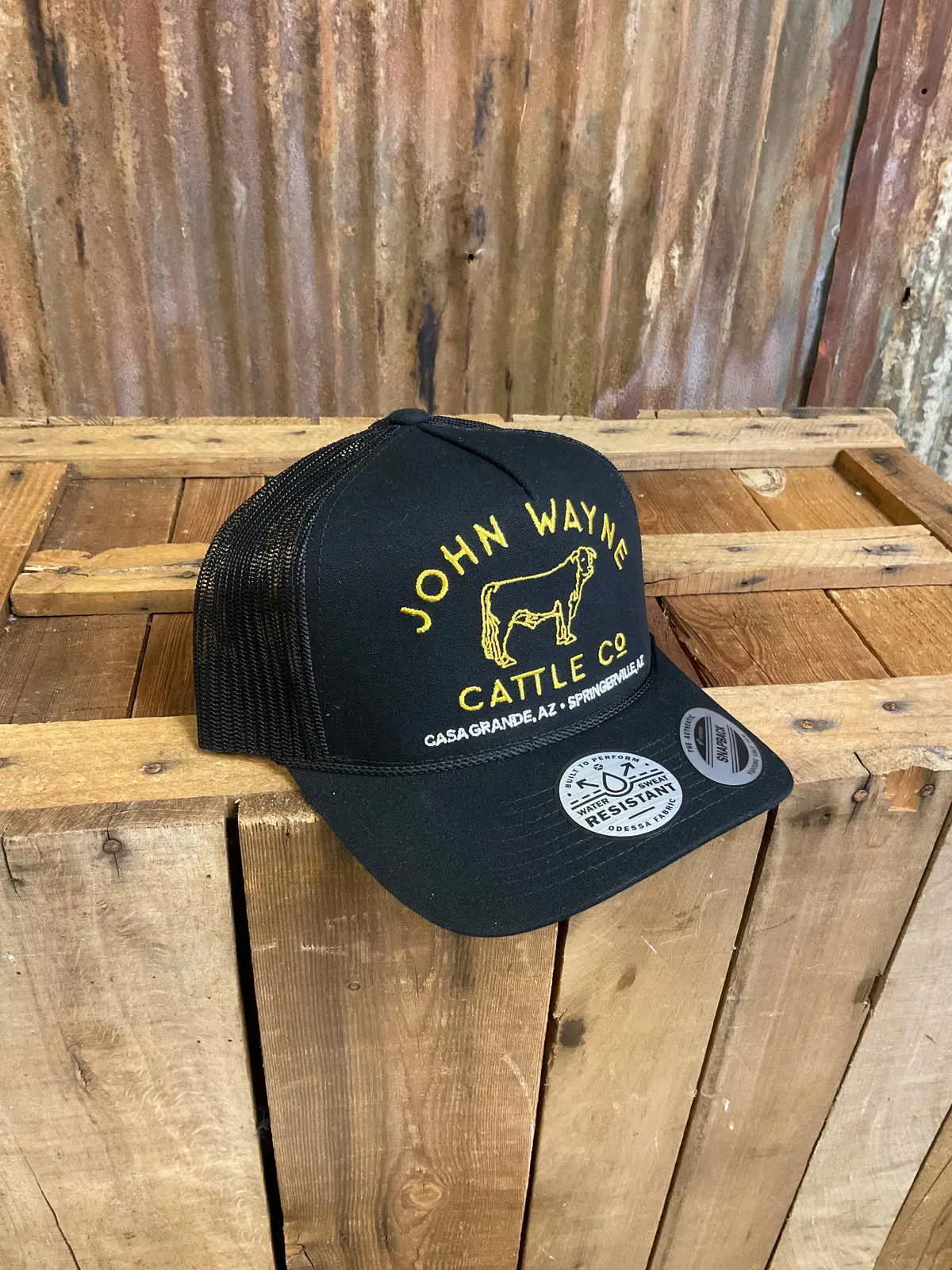Hooey "John Wayne" Blk/Gold Cap 1