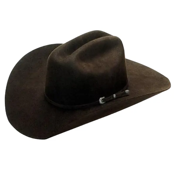 M&F Twister Men's Dallas Chocolate Felt Cowboy Hat 1