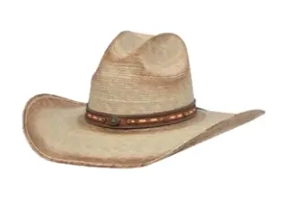 Alamo Carson Palm Western Hat 1