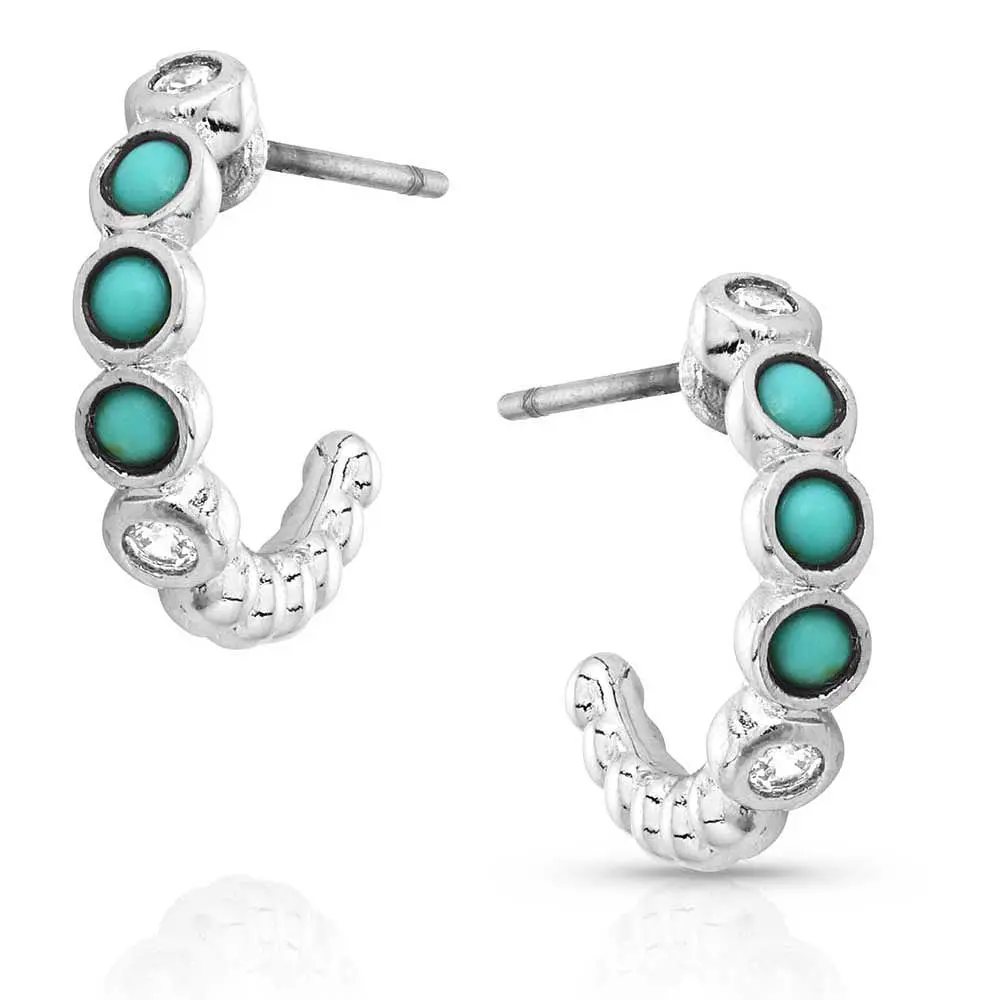Montana Silversmith Turquoise Tranquility Crystal Earrings 1