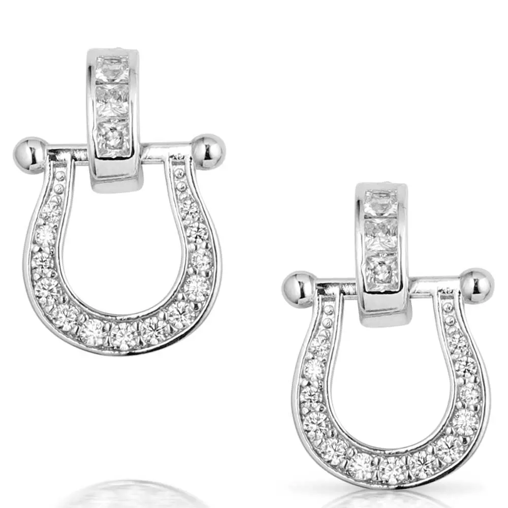 Montana Silversmiths Ride In Style Crystal Earrings 1