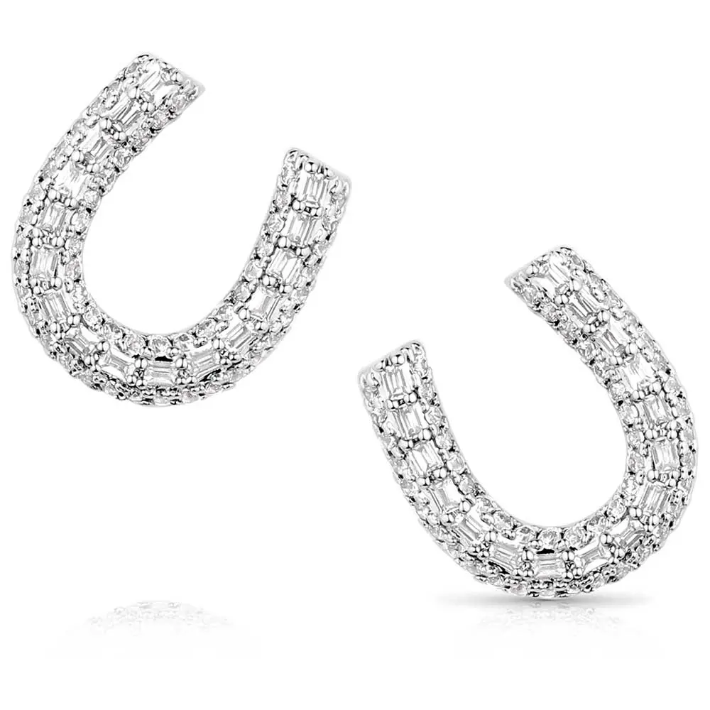 Montana Silversmiths Frosted Luck Crystal Earrings 1