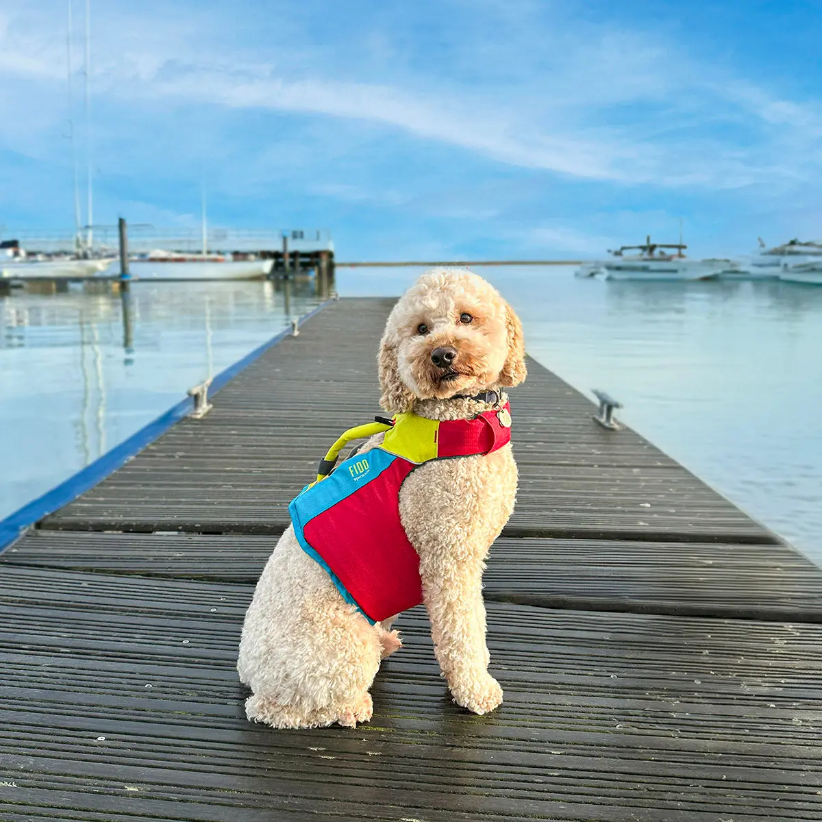 Spinlock Fido Life Jacket For Dogs 1