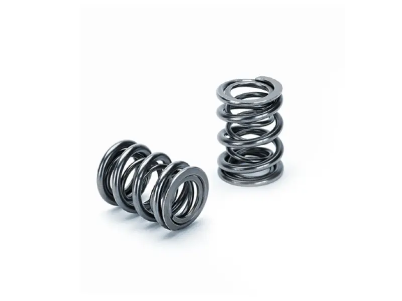 Supertech Dual Valve Spring Set — Honda B16A/B17A/B18C Engines, 16-Piece 1