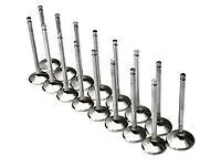 Brian Crower High-Performance Exhaust Valves – 27.5Mm, For Toyota 7Mgte/7Mge Engines 1